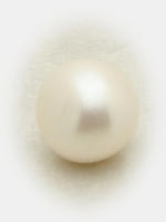 pearl2